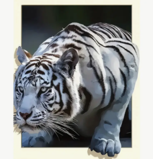 Diamond Painting Tiger
